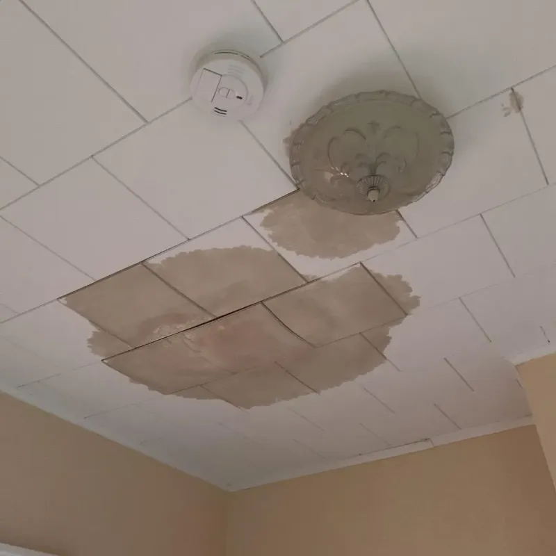 Ceiling Water Damage Repair in Town and Country, MO
